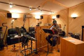 acousticbarn.com Rayin
