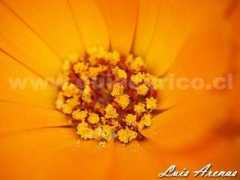 luisarenas.bligoo.com Rayit