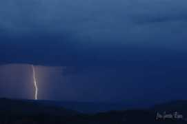 Rayos
