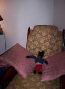 springhillvoice.com Rayshun