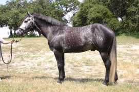postoakcreekranch.com Razuli