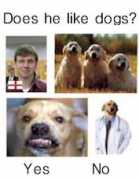 Rdog