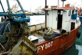 newlynharbour.co.uk Reagy