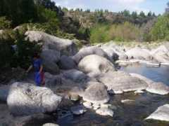 Reartes