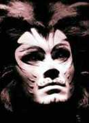 jelliclecats.net Rebaldi