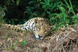 ietravel.com Rebeiro