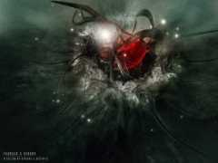 Reborn