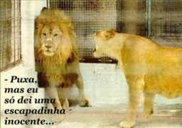 minirecados.com Recados