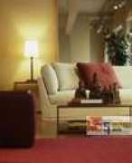 bbs.wzcbd.com Recheal