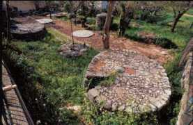 coreno.it Rechino