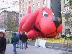 Reddawg