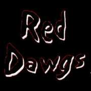 Reddawg