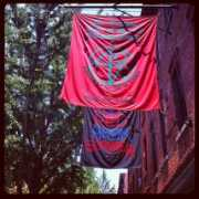 Redhook