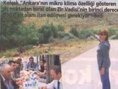 peyzajmimoda.org.tr Redife