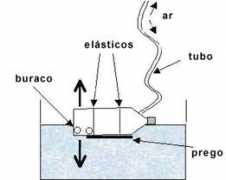 prodam.sp.gov.br Redija