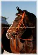 romanitempolibero.it Redini