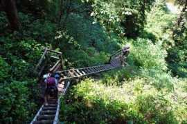 campingtourist.com Reedyk