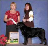 Reenie