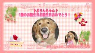 okiraku.cside.com Reesan
