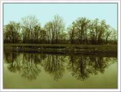 treklens.com Reflection