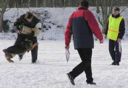 hondensport.com Regges