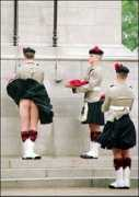 bookofjoe.com Regimental