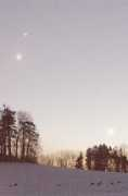 Rehe