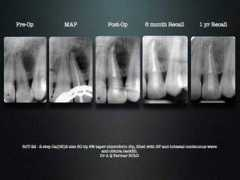 dentalindia.com Rehea