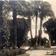 egyptedantan.com Reiine