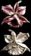 milkywayjewels.com Reinad