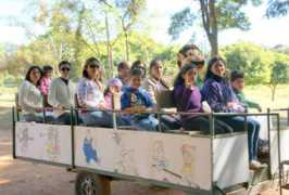 iflorestal.sp.gov.br Reinaldinho