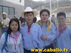 caballo.tv Reinner