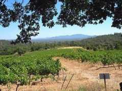 wineterroirs.com Reire
