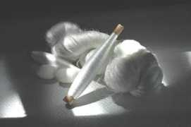 canting.exblog.jp Reisia