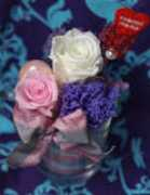 florever.jp Reissy