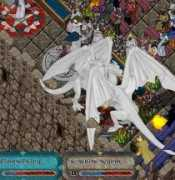 ruico.fc2web.com Reisty