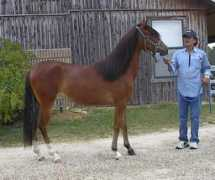 barfiftyranch.com Reita