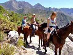 ferienhaus-andalusien.com Reiten