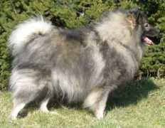 Rejan
