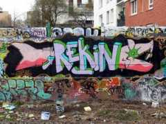 Rekin