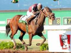 entornointeligente.com Relampago