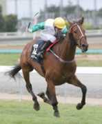 stuff.co.nz Relampago