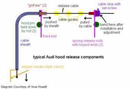 forums.quattroworld.com Relase