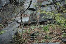 morningsidepark.org Released
