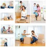 Removals