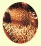 melroseflowers.com Rempah