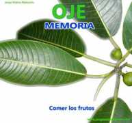 jorgevaleranatura.com Renaco