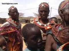 Rendile
