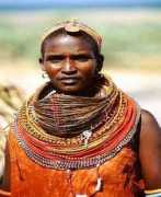 Rendile