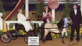 hoofweb.com Reneen